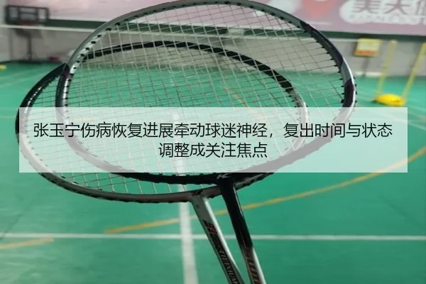 张玉宁伤病恢复进展牵动球迷神经，复出时间与状态调整成关注焦点